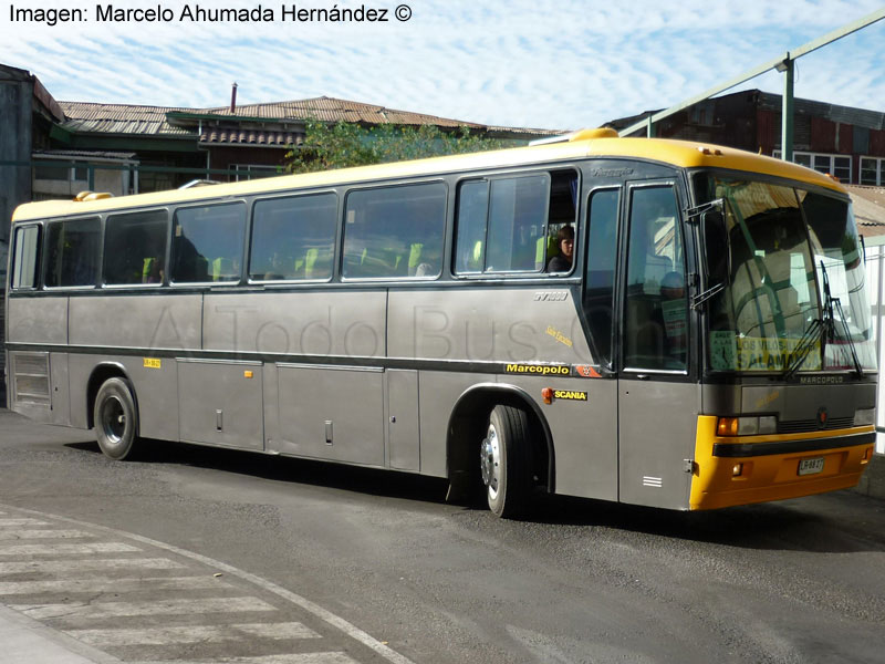 Marcopolo Viaggio GV 1000 / Scania L-113CL / Intercomunal