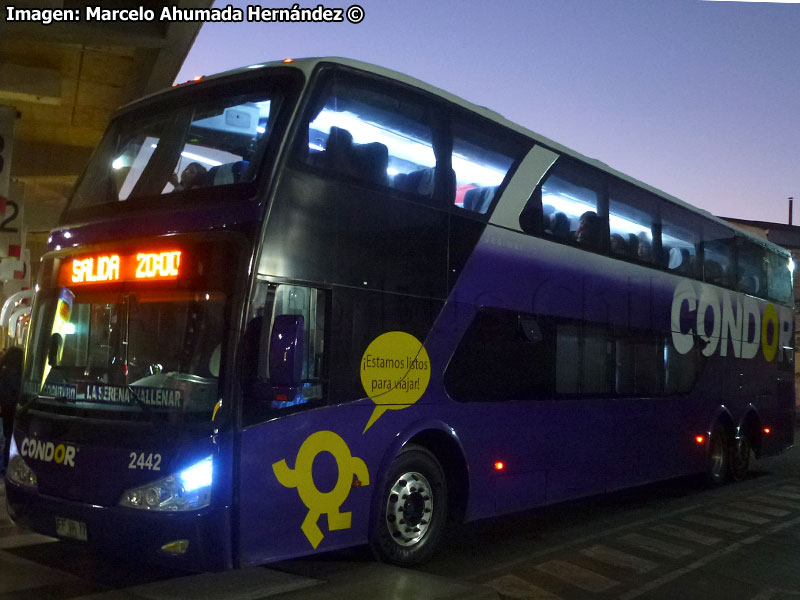 Modasa Zeus II / Mercedes Benz O-500RSD-2436 / Cóndor Bus