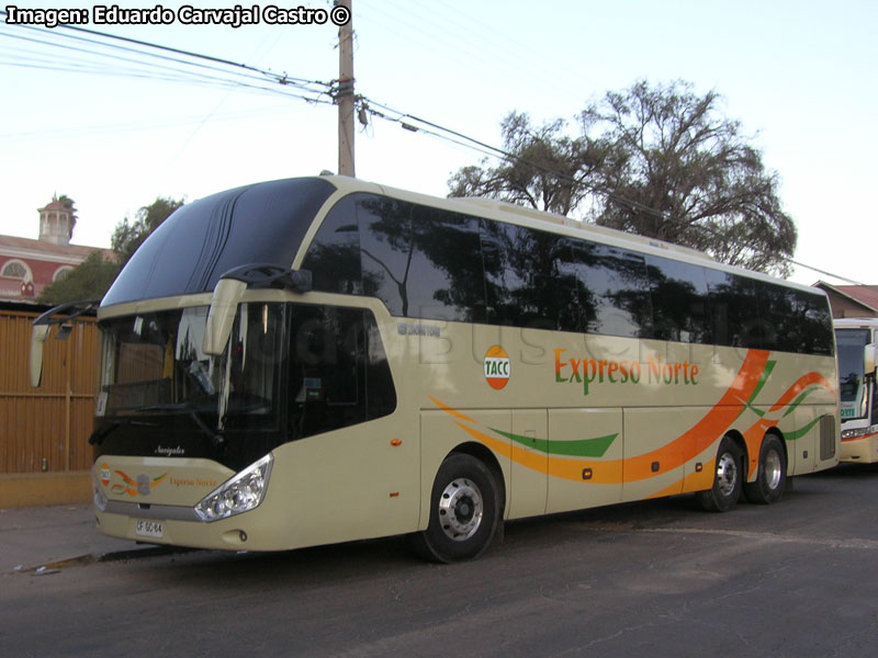 Zhong Tong Navigator LCK6137H / TACC Expreso Norte