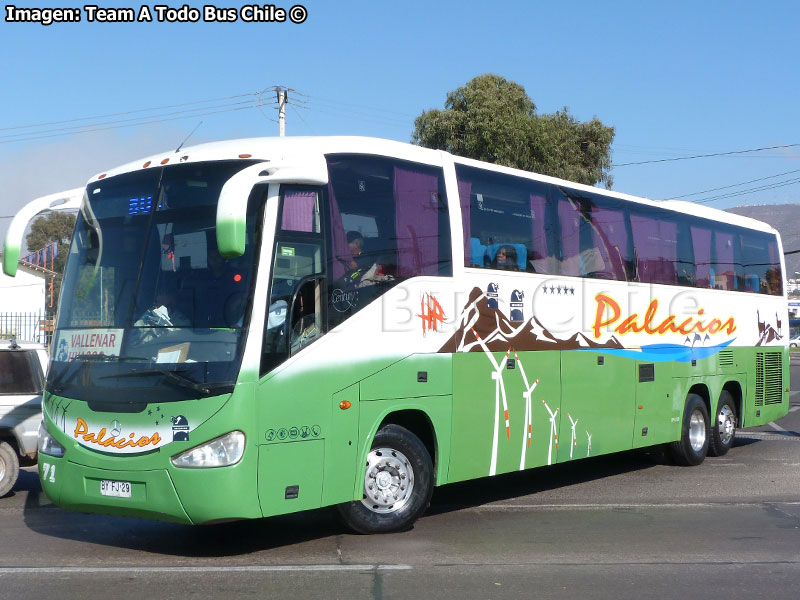 Irizar Century III 3.9}0 / Mercedes Benz O-500RSD-2436 / Buses Palacios