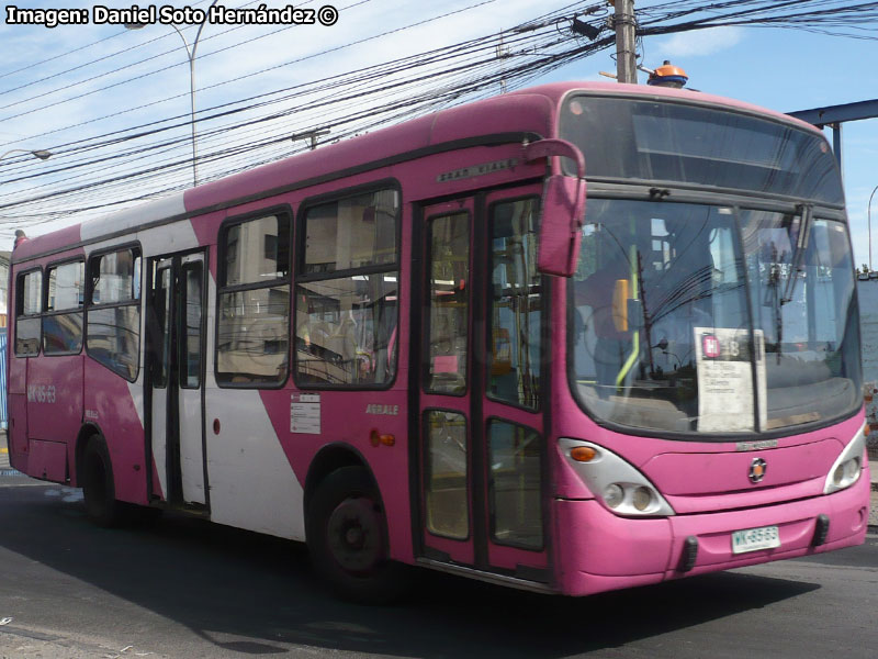 Marcopolo Gran Viale / Agrale MT-12.0LE / Servicio Alimentador H-18