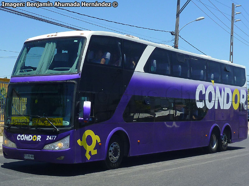 Modasa Zeus II / Mercedes Benz O-500RSD-2436 / Cóndor Bus