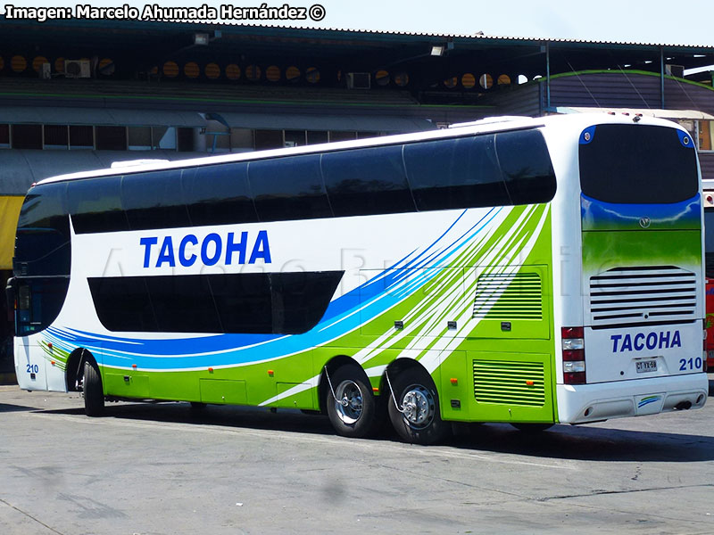 Young Man Skyliner JNP6137S / Tacoha