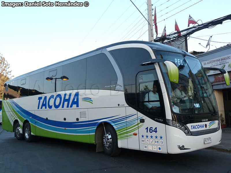 Neobus New Road N10 380 / Scania K-400B eev5 / Tacoha