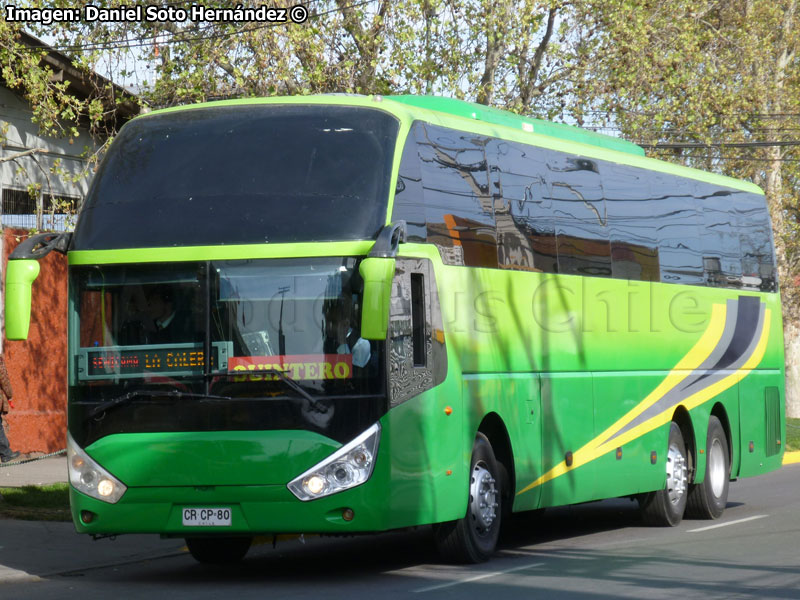 Zhong Tong Navigator LCK6137H / Pullman Palmira