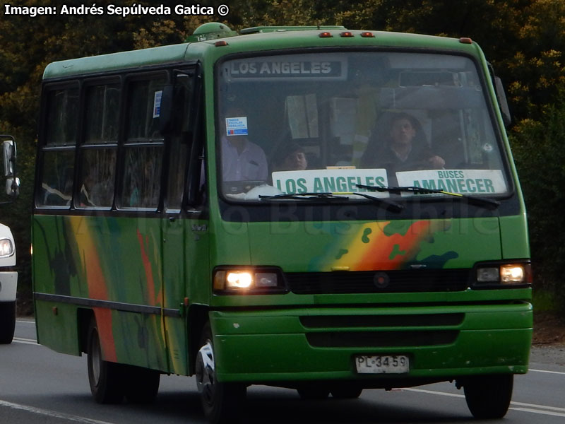 Marcopolo Senior GV / Mercedes Benz LO-814 / Buses Amanecer