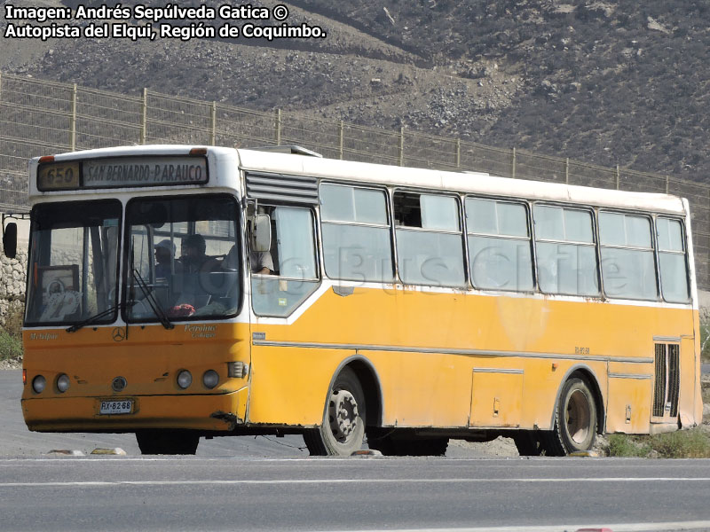 Metalpar Petrohué 2000 / Mercedes Benz OH-1420 / Particular