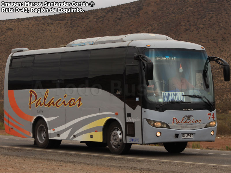 Daewoo Bus A-85 / Buses Palacios