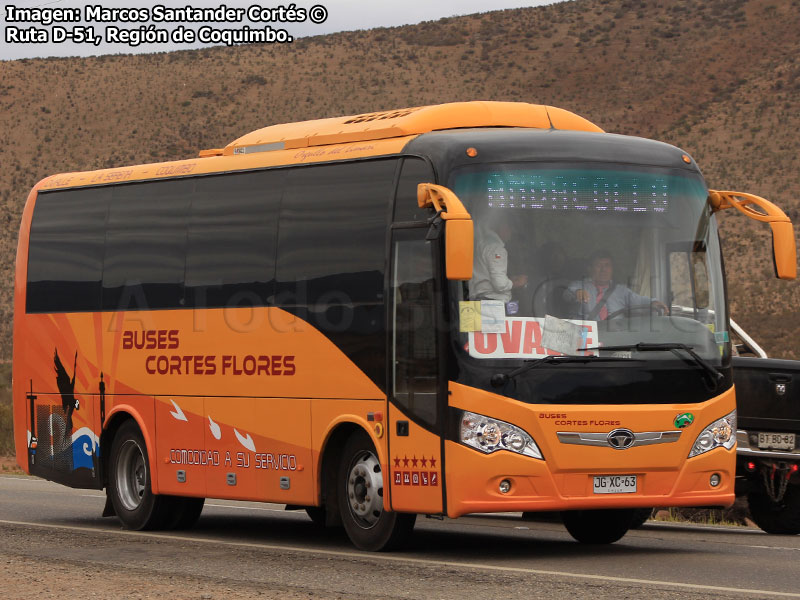 Daewoo Bus A-85 / Transportes Cortés Flores