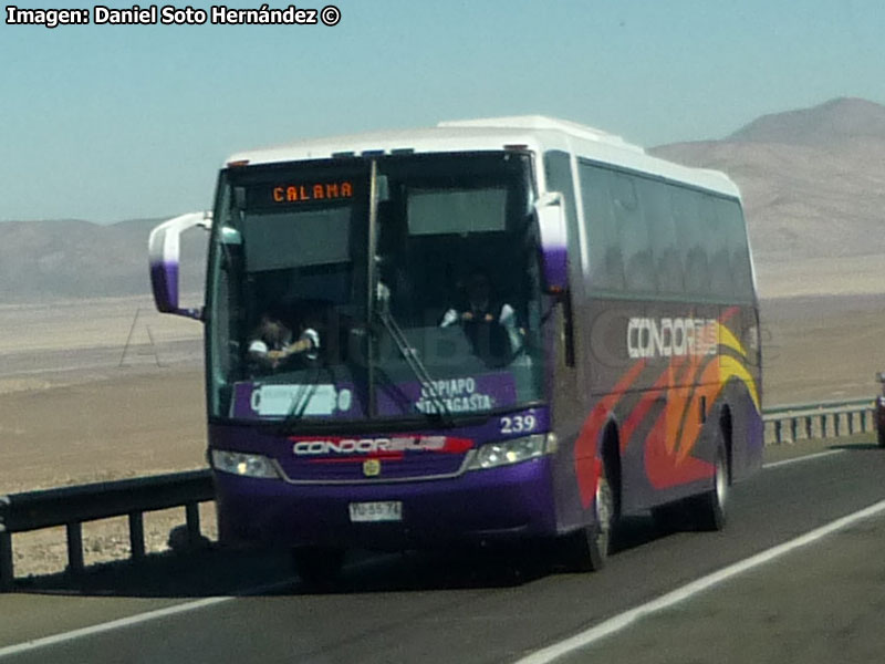 Busscar Vissta Buss LO / Scania K-340 / Cóndor Bus (Auxiliar Flota Barrios)