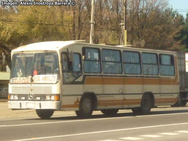 Marcopolo Torino / Mercedes Benz OF-1115 / Particular