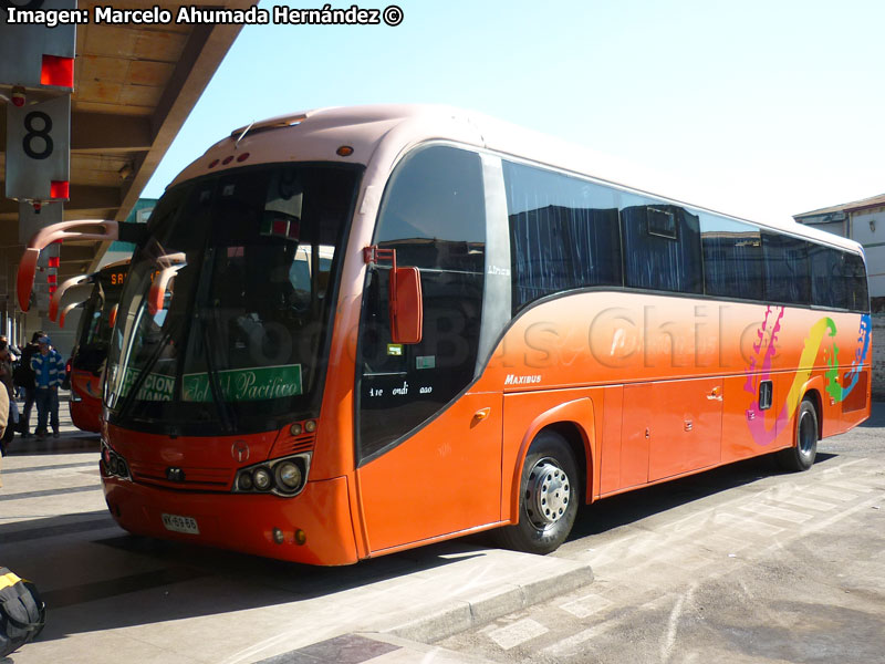 Maxibus Lince 3.45 / Mercedes Benz OH-1628L / Sol del Pacífico