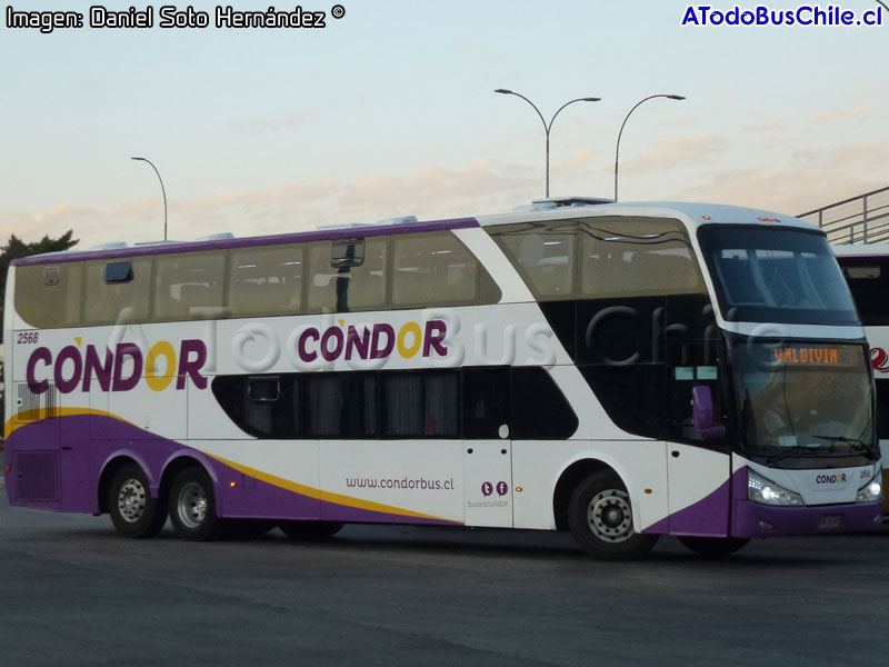 Modasa Zeus II / Mercedes Benz O-500RSD-2436 / Cóndor Bus