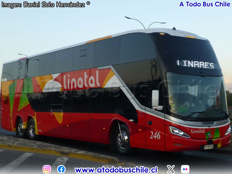 Modasa Zeus 5 / Volvo B-450R Euro5 / Linatal