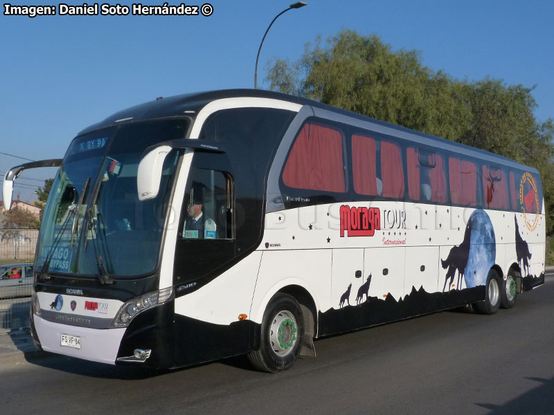 Neobus New Road N10 380 / Scania K-410B / Moraga Tour