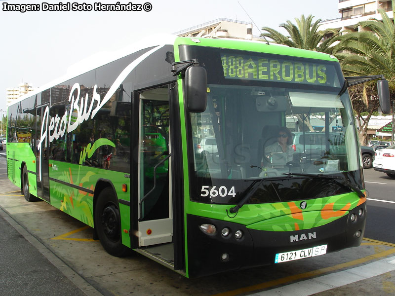 Castrosúa City / MAN 18-310 / TITSA Línea Nº 488 Aerobus Playa de las Américas - Aeropuerto Tenerife Sur Reina Sofía (España)