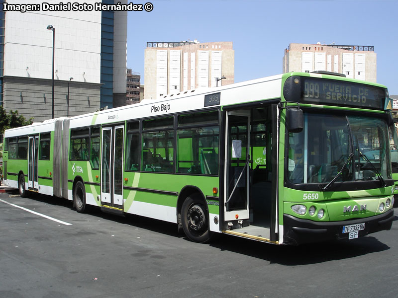 Castrosúa City / MAN NL-312F / Transportes Interurbanos de Tenerife TITSA S.A.U. (España)