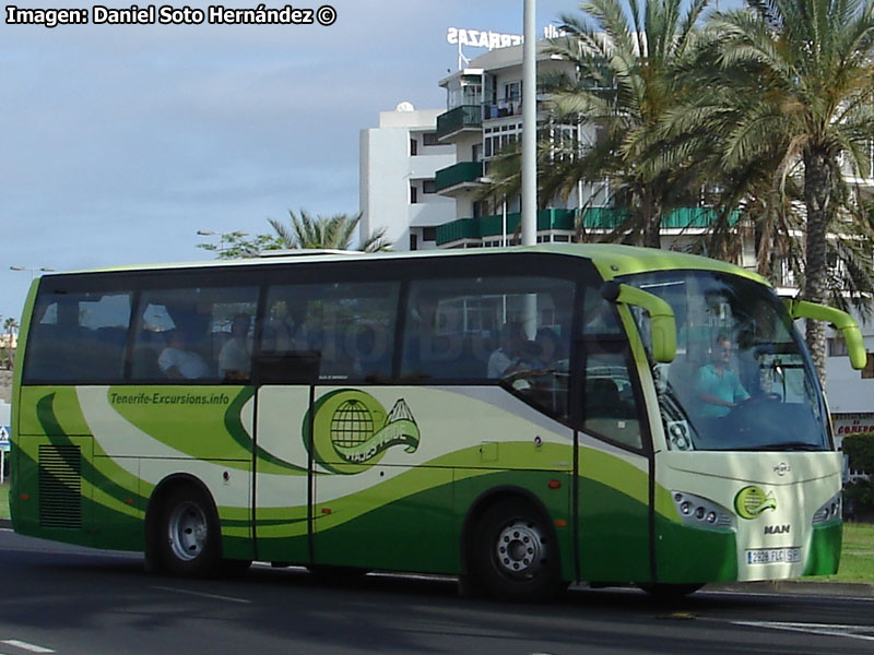 Ayats Platinum / MAN 14-280 / Viajes Teide (Tenerife, España)