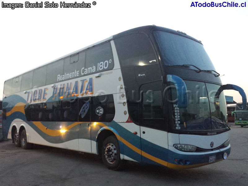 Marcopolo Paradiso G6 1800DD / Scania K-420B / Tigre Punata (Bolivia)