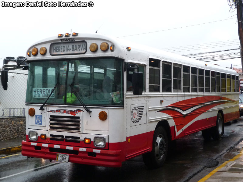 Blue Bird TC-2000 / Transportes Barveños Ltda. (Costa Rica)