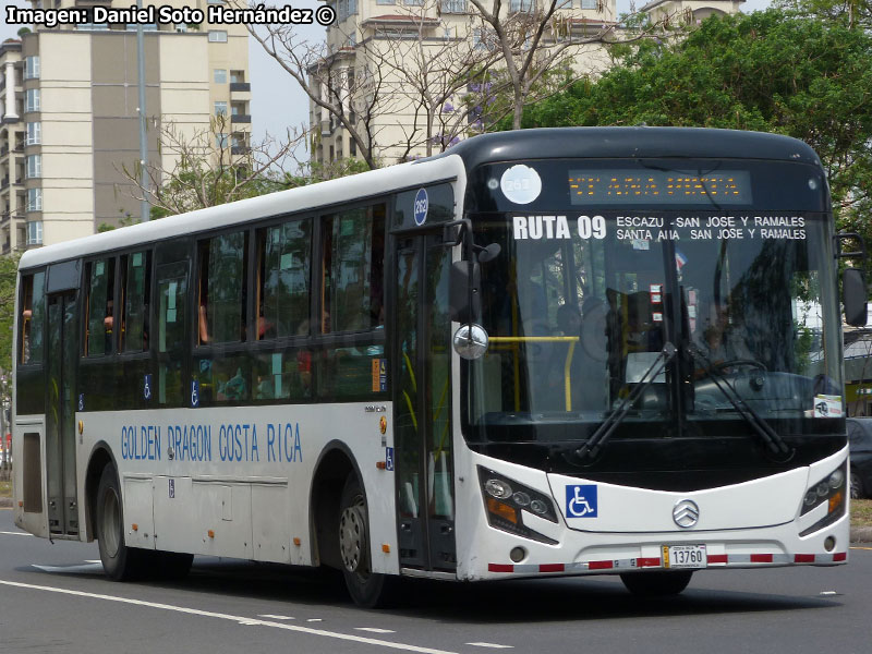 Golden Dragon XML6125J33C / Cía. de Inv. La Tapachula S.A. (Costa Rica)