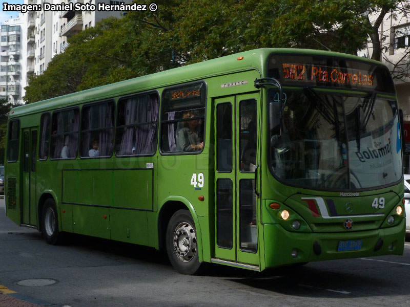 Marcopolo Torino / Mercedes Benz OH-1621L / COME S.A. Línea N° 582 Peñarol - Punta Carretas STM Montevideo (Uruguay)