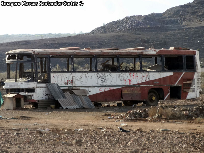 Marcopolo III / Mercedes Benz O-364 / Particular