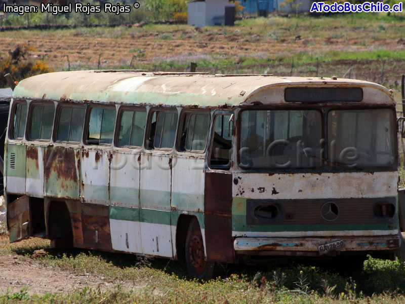 Mercedes Benz O-355 / Particular