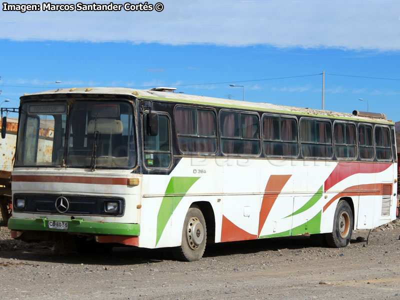 Mercedes Benz O-364 / Particular