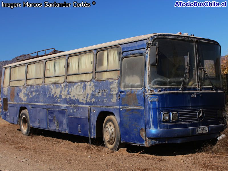 Mercedes Benz O-364 / Particular