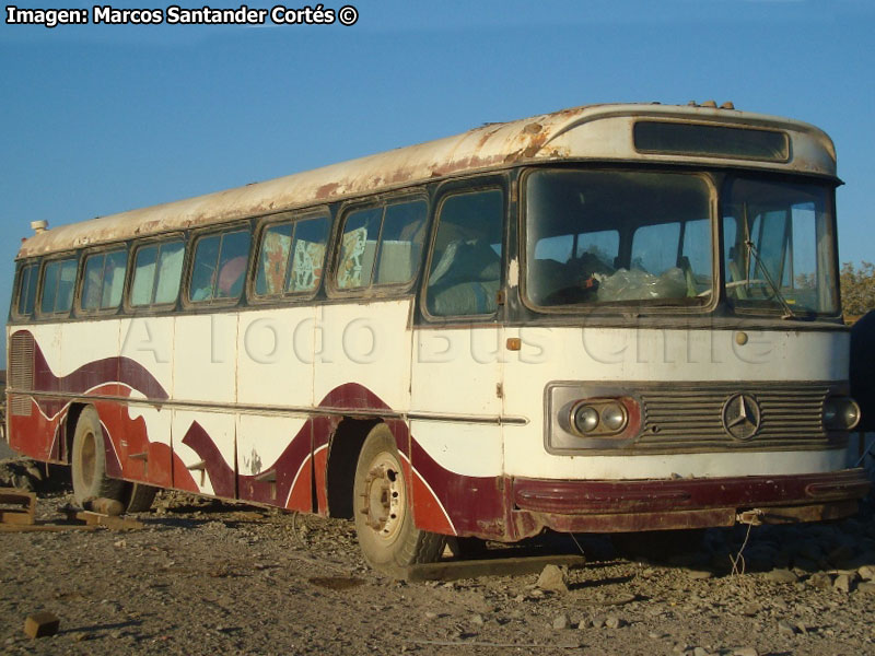 Mercedes Benz O-355 / Particular