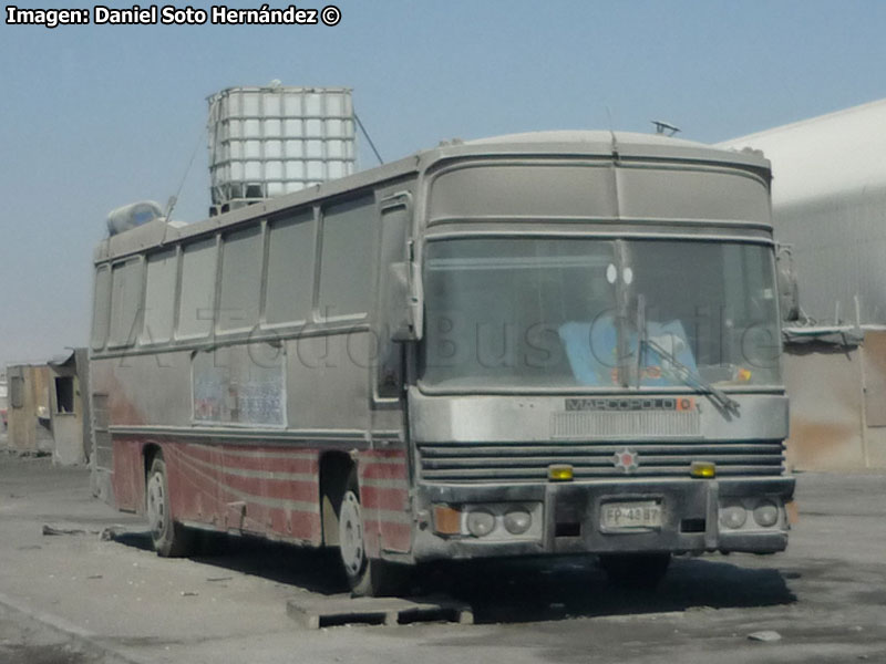 Marcopolo III / Mercedes Benz O-364 / Particular