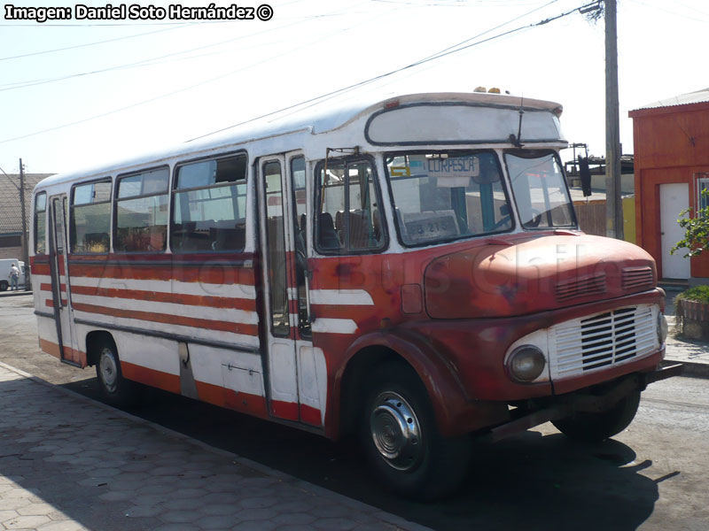 El Detalle / Mercedes Benz LO-1114 / Corpesca S.A.