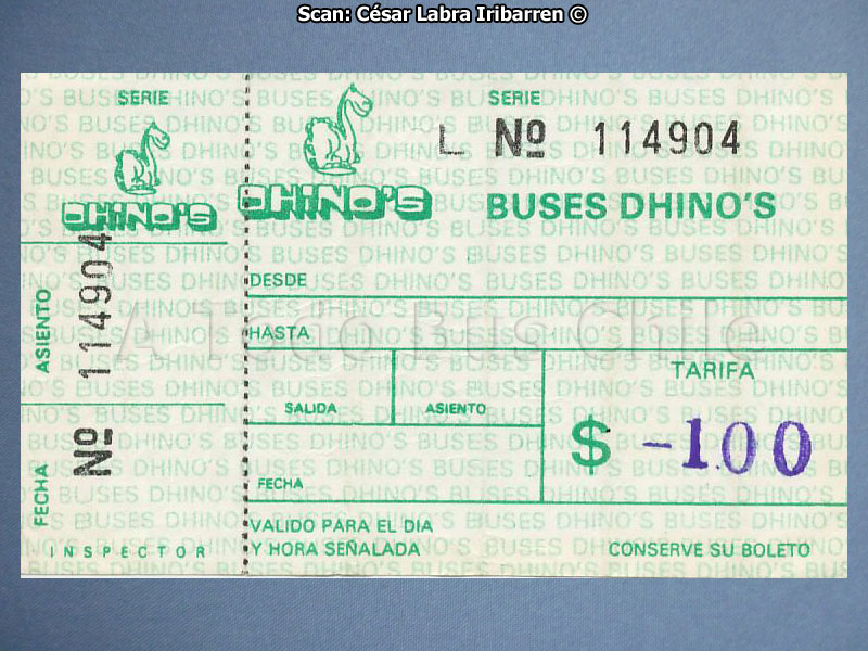 Boleto de Camino Buses Dhino's