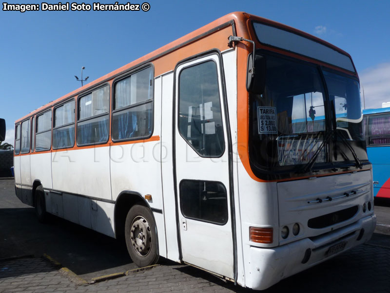 Maxibus Urbano / Mercedes Benz OH-1420 / Servicio Internacional Arica - Tacna (Perú)