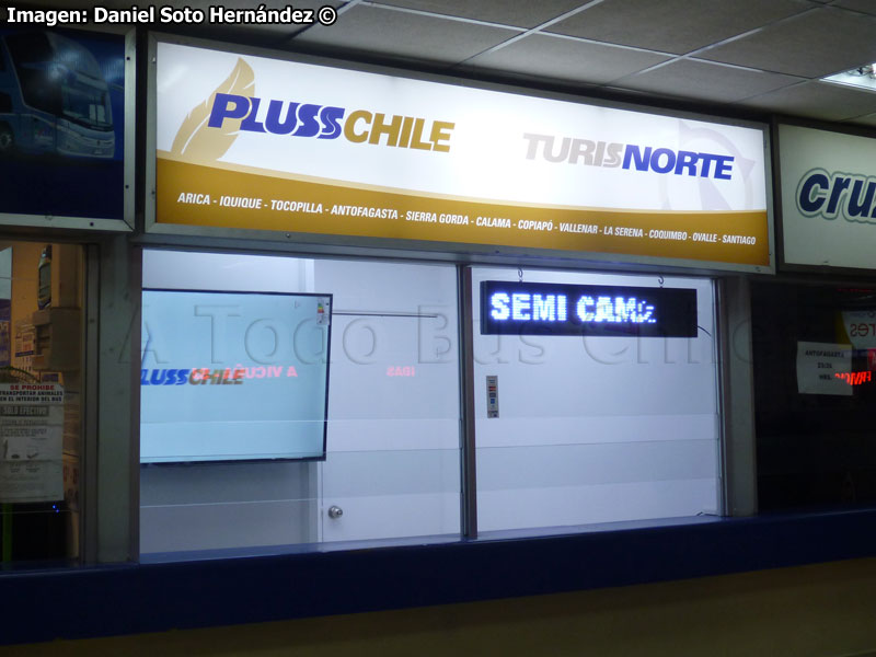 Oficina de Ventas Pluss Chile - Turis Norte | Terminal Rodoviario de Iquique