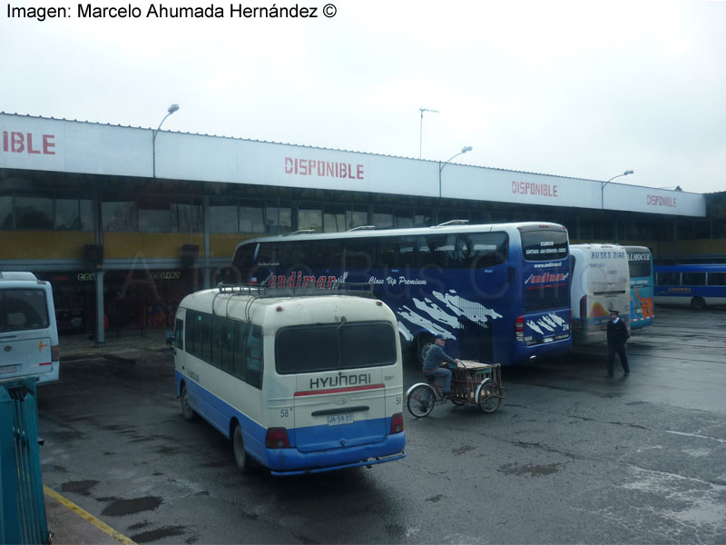 Panorámica Terminal de Buses de Curicó