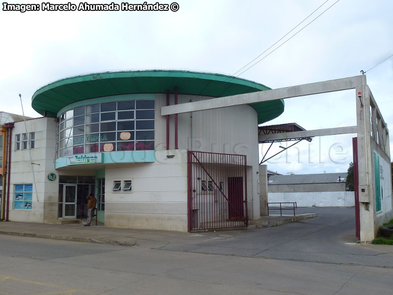 Terminal Buses Jeldres Cañete