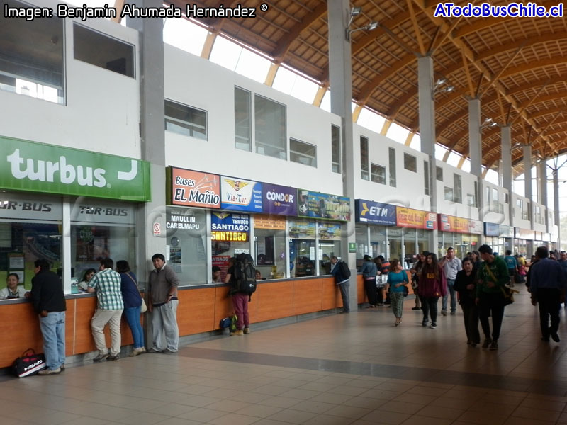 Zona de Boleterías Terminal de Buses Puerto Montt (Región de Los Lagos)