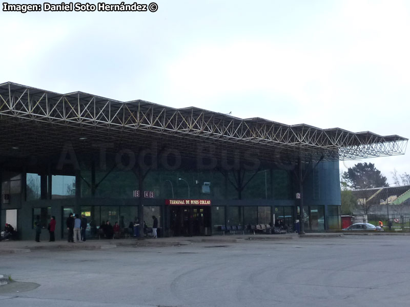 Andenes de Arribo Terminal de Buses Collao, Concepción