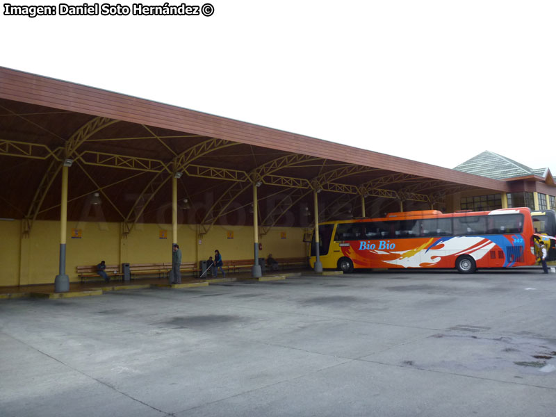 Zona de Andenes Terminal de Buses Bio Bio Angol (Región de la Araucanía)