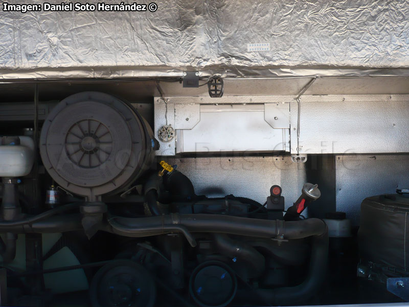 Motor Mercedes Benz OM-906LA 260 CV Con DPF TALSA | Induscar Caio Mondego H / Mercedes Benz O-500U-1726 / Buses Vule S.A.