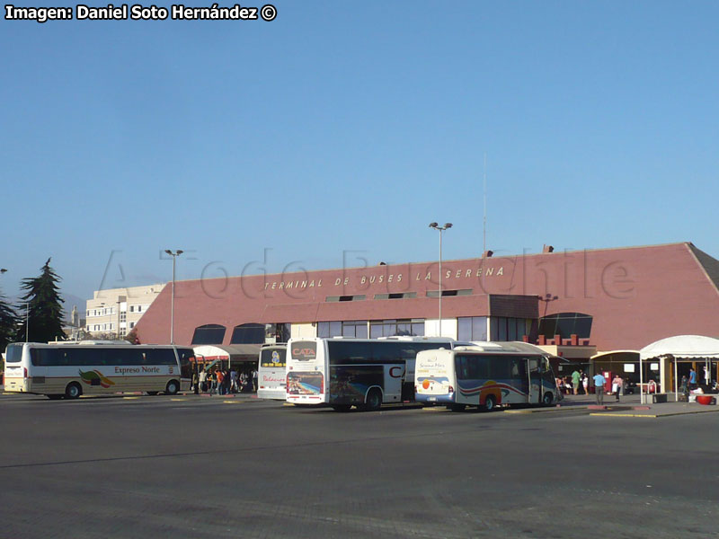 Zona de Andenes | Terminal de Buses ATB La Serena (Región de Coquimbo)