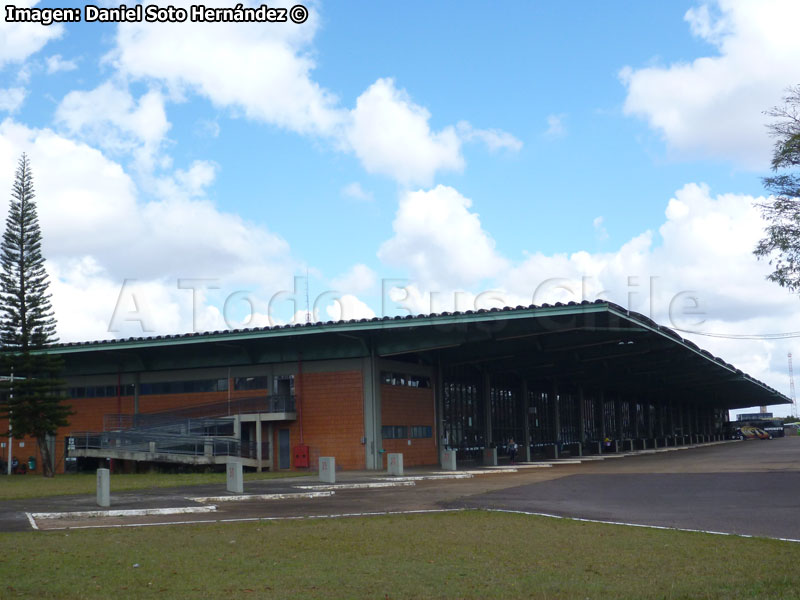 Zona de Andenes Terminal Rodoviária de Cascavel (Paraná - Brasil)