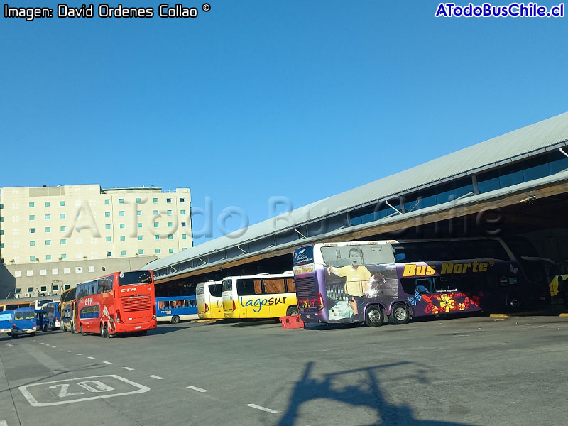 Zona de Andenes Terminal de Buses Puerto Montt (Región de Los Lagos)