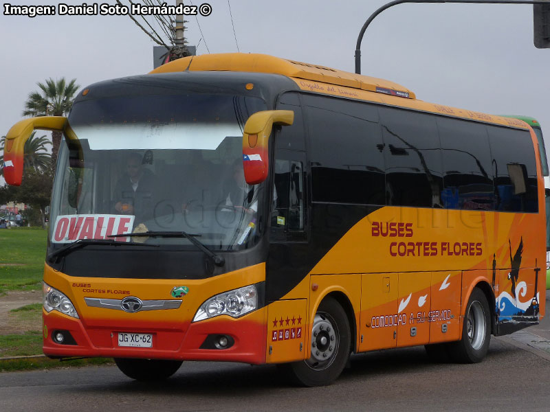 Daewoo Bus A-85 / Transportes Cortés Flores