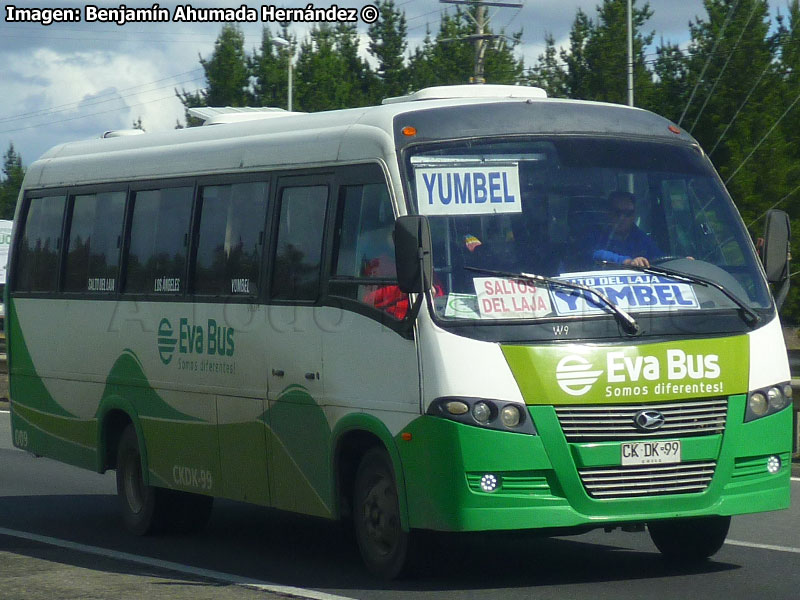 Volare W9 / Agrale MA-9.2 / Eva Bus