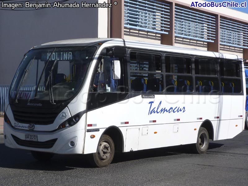 Mascarello Gran Micro / Mercedes Benz LO-815 BlueTec5 / Buses TALMOCUR