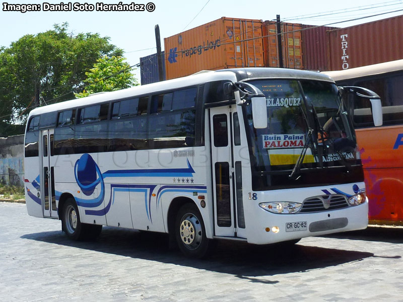 Zhong Tong Catch LCK6880T / Buses Paine