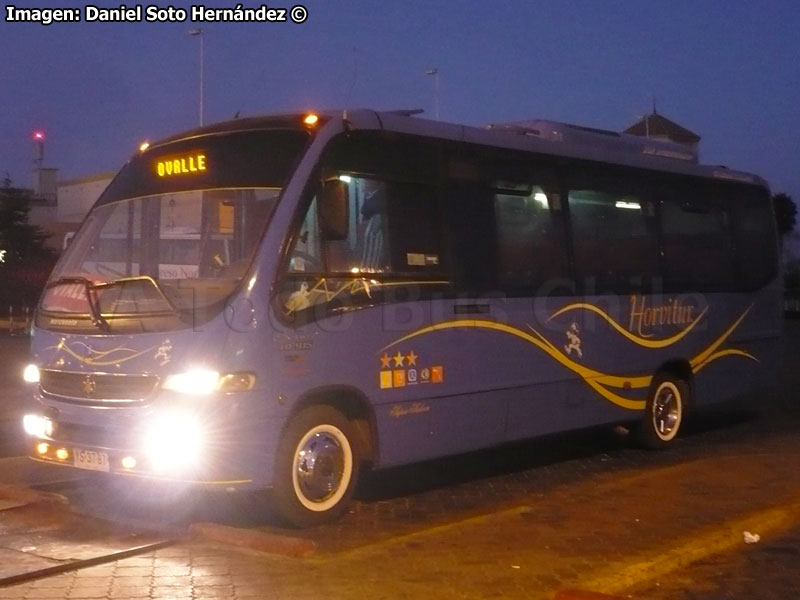 Marcopolo Senior G6 / Mercedes Benz LO-915 / Horvitur